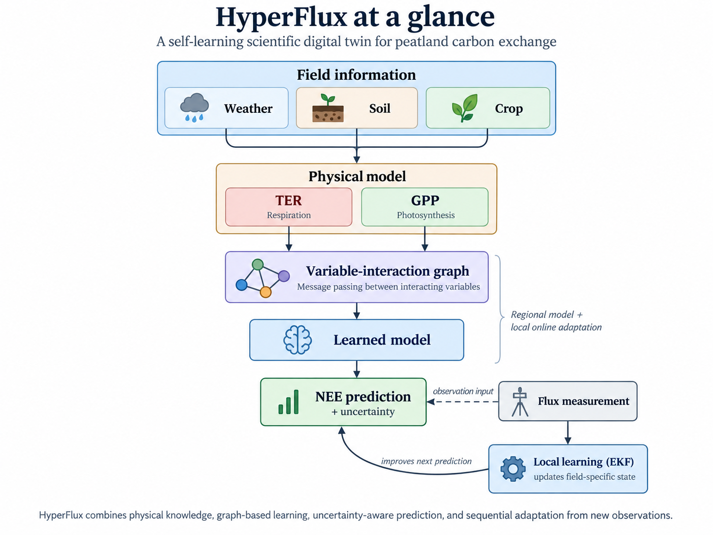 HyperFlux architecture showing field information, TER and GPP physical processes, graph message passing, learned NEE prediction, uncertainty and EKF local learning.