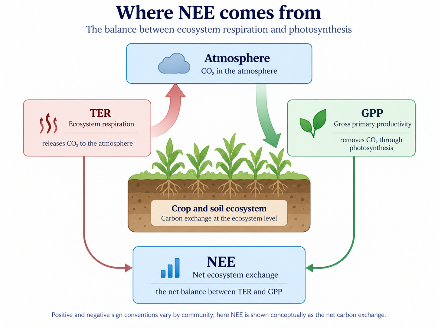 Diagram showing TER releasing carbon dioxide to the atmosphere, GPP removing carbon dioxide through photosynthesis, and NEE as the net balance.