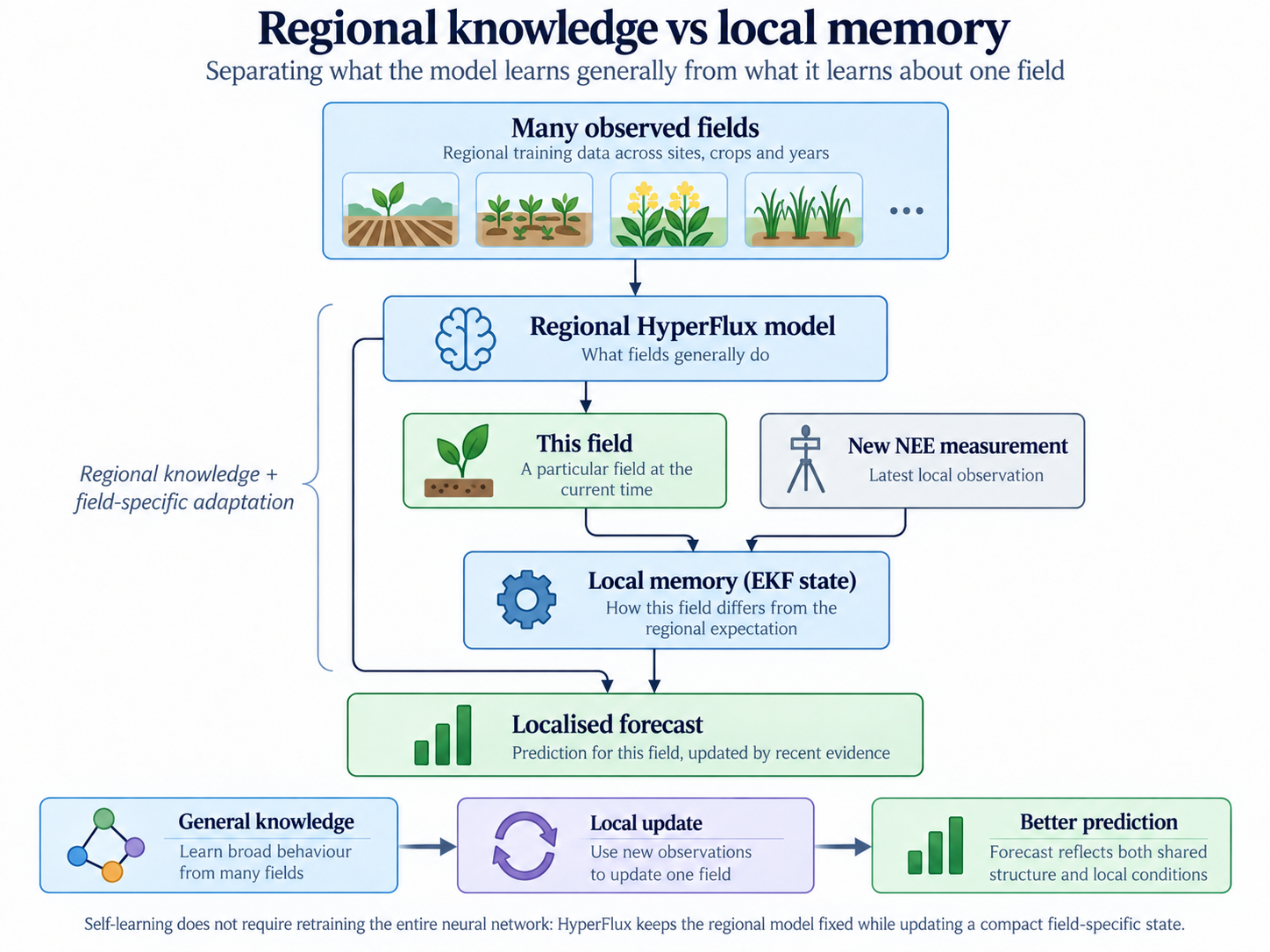Many observed fields train a regional model. A local field and new NEE measurement update an EKF local memory, producing a field-specific forecast.